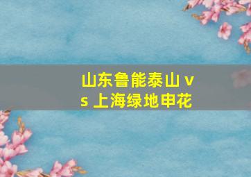 山东鲁能泰山 vs 上海绿地申花